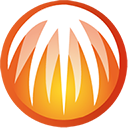 bitcomet手机版 v2.9.1