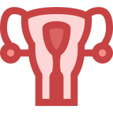 �ӹ�����