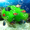 ˮ��ݶ�̬��ֽapp���أ�ˮ��ݶ�̬��ֽ5.3��׿��app����