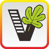 ��Ҫ��ѧ��wordapp���أ���Ҫ��ѧ��word1.10.12��׿��app����